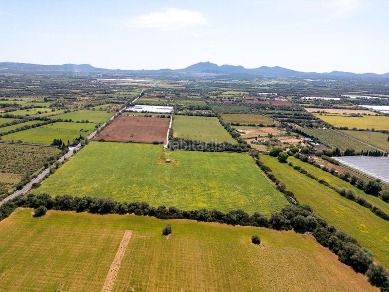 Foto 0bc4523f-8754-45fe-aaa0-42cc464c9723. Finca rústica a Porreres