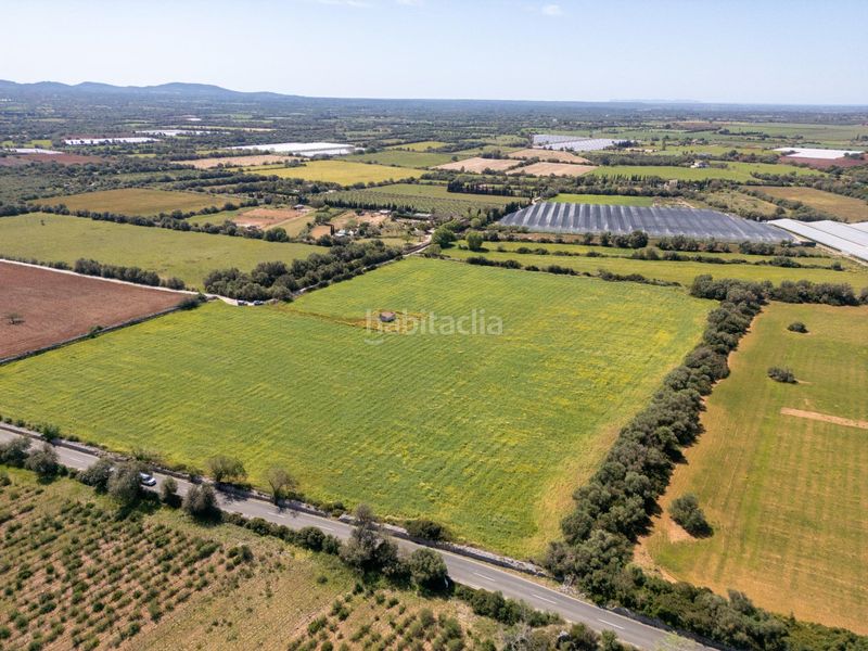 Foto 6b194d5c-df36-451b-95a0-5c0526cb278d. Finca rústica a Porreres