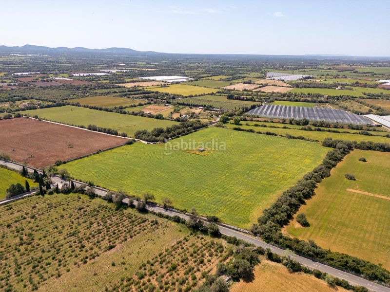 Foto a0d7dbb9-22c1-47b8-ae85-fa04b224f8fc. Finca rústica a Porreres