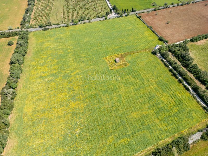 Foto ab9766f9-827a-47bb-87e7-81208f5ee99c. Finca rústica a Porreres