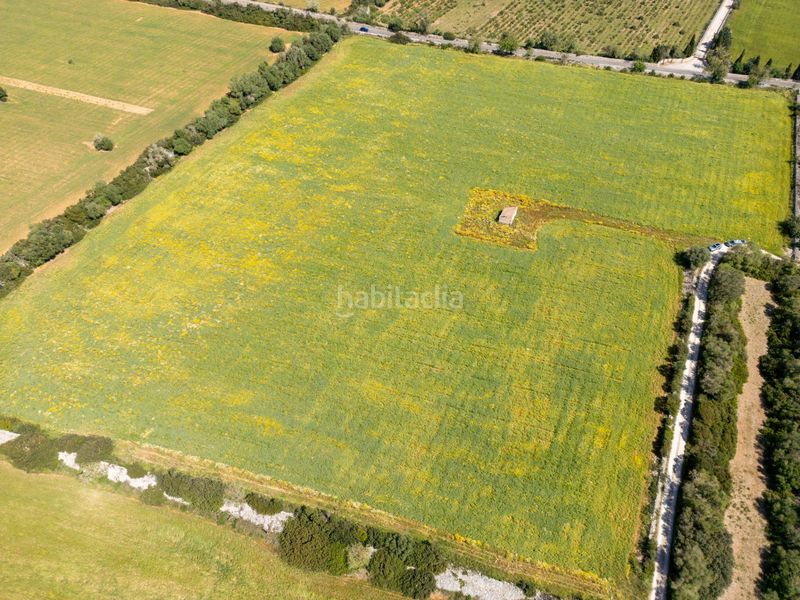 Foto b5b3b578-d8a2-4d37-ab0c-76755d040919. Finca rústica a Porreres