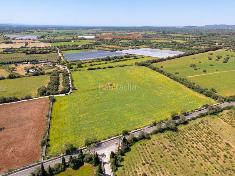 Foto bb3cf912-4a8e-4cad-9ecf-d2551f8500a4. Finca rústica a Porreres