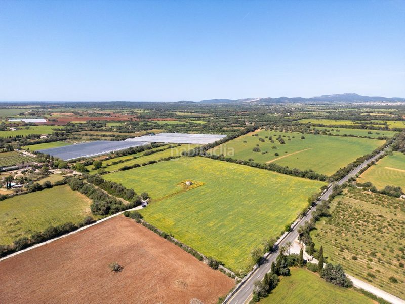 Foto bcf9111b-b514-4d87-a99a-b14c4679fc2a. Finca rústica a Porreres
