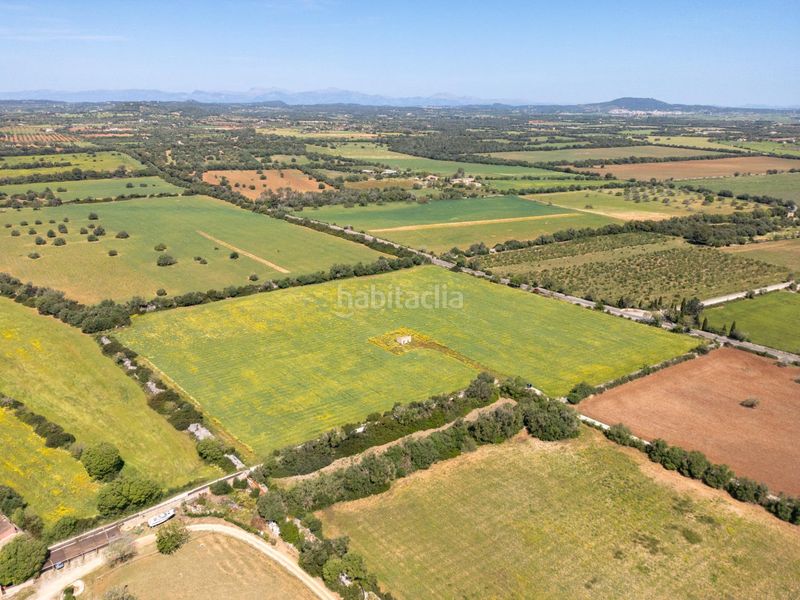 Foto ccdd2dc2-810d-40ce-9c74-b64236cbc47f. Finca rústica a Porreres
