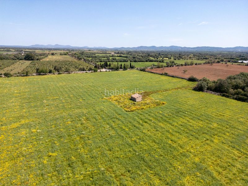 Foto df0ff303-6a9e-40f3-884a-985707ca4976. Finca rústica a Porreres