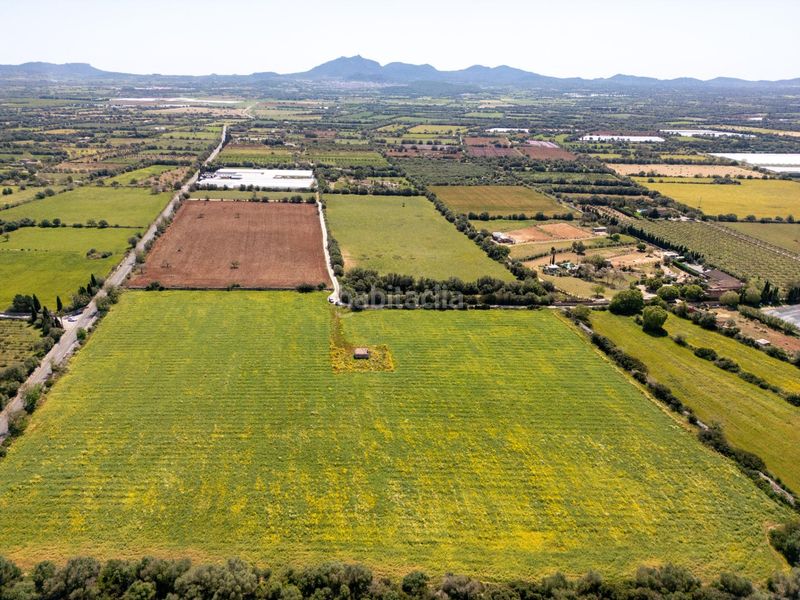Foto ef37536e-d669-4752-b830-92d1792c921b. Finca rústica a Porreres