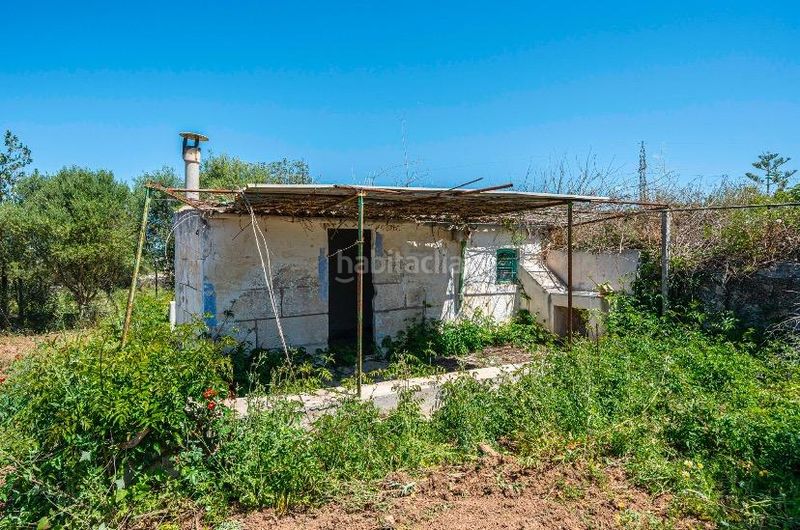 Foto 14ef84ad-48fe-430e-a9d5-1c889257fb70. Masia a Manacor centre Manacor