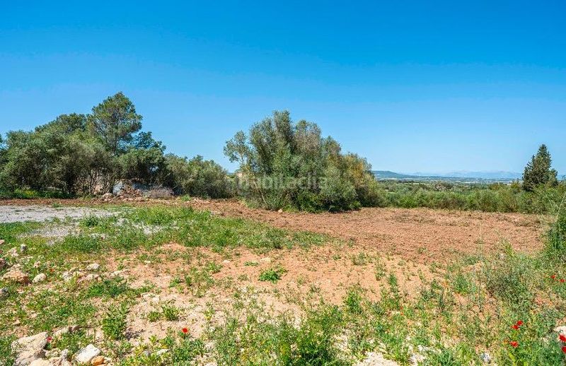 Foto 489f015c-53ac-4f1f-9ebe-c5649c2bc413. Masia a Manacor centre Manacor