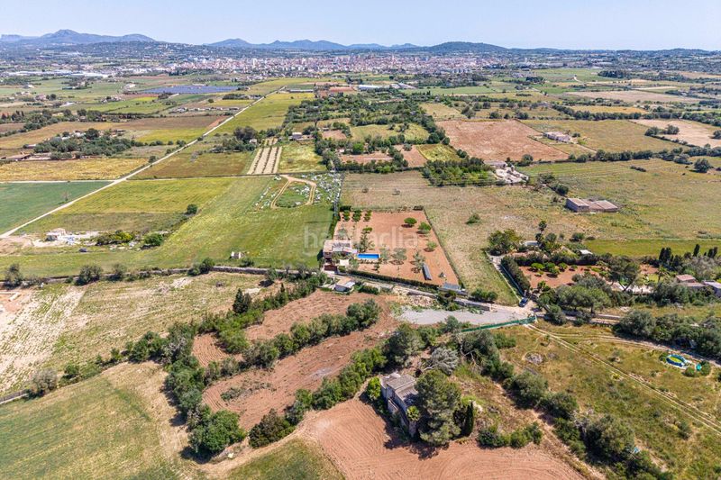 Foto 8147d608-4341-438f-8c7e-a7522a7e4683. Masia a Manacor centre Manacor