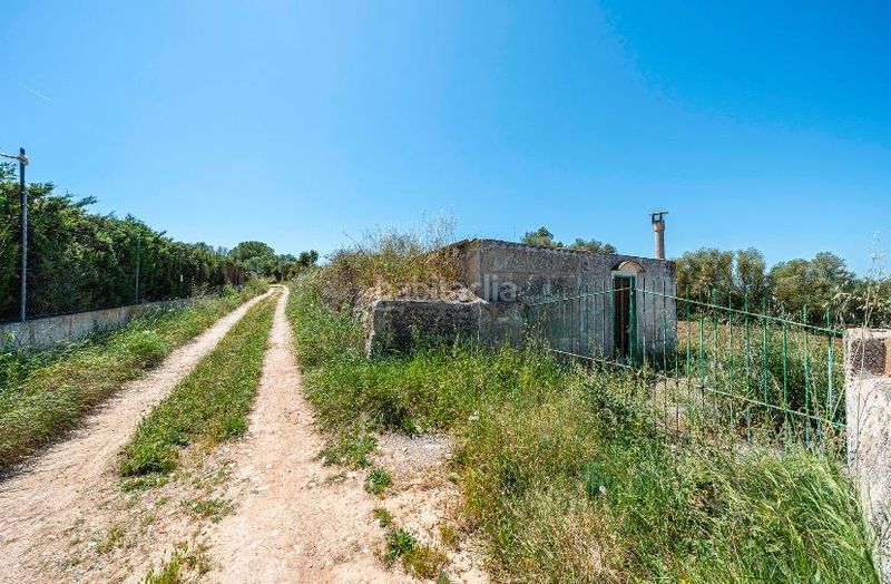 Foto 86d44a39-a639-4aff-b525-6bc7c4908808. Masia a Manacor centre Manacor