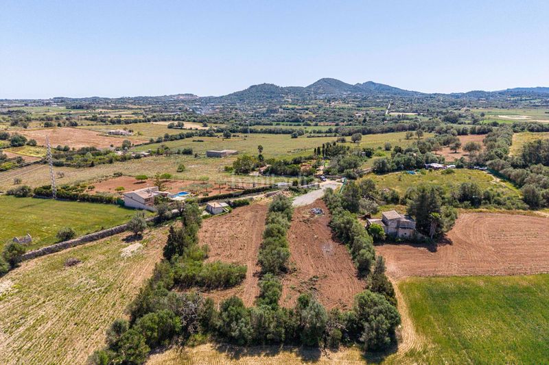Foto cc84c696-d6a7-418c-bf5d-99a606e42292. Masia a Manacor centre Manacor