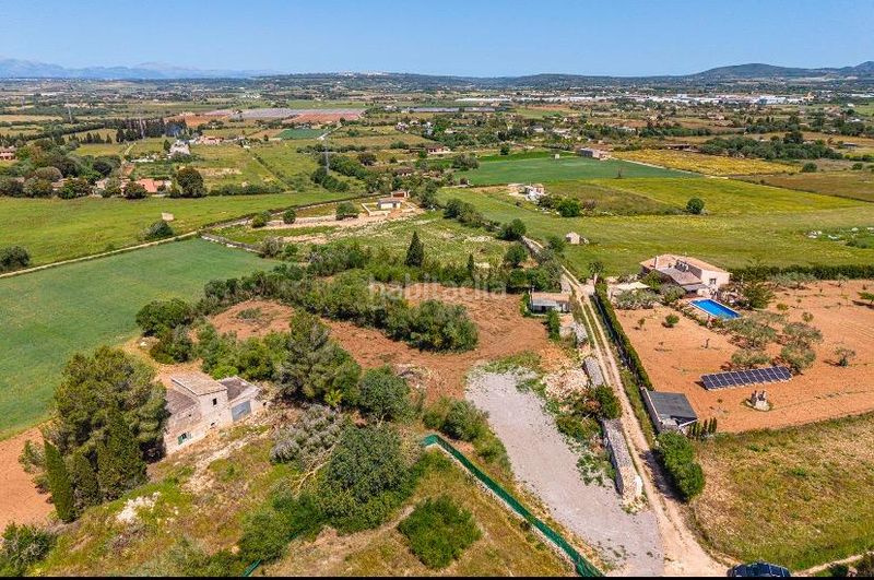 Foto f0b4700f-7c29-47fb-a198-9d3783631ce9. Masia a Manacor centre Manacor