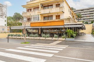 Transfer Business premise in Avinguda del rei jaume i 77. Se traspasa local en funcionamiento en santa ponça
