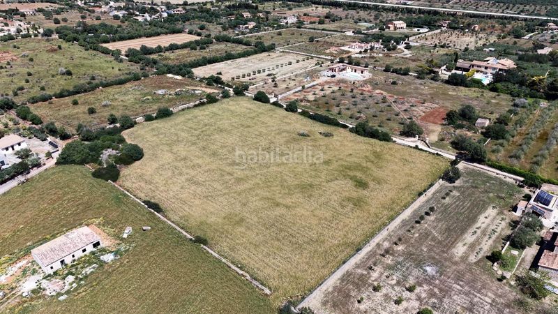 Foto 0e6ead41-0821-46a0-916d-27b83bfb0b49. Finca rústica a Manacor centre Manacor