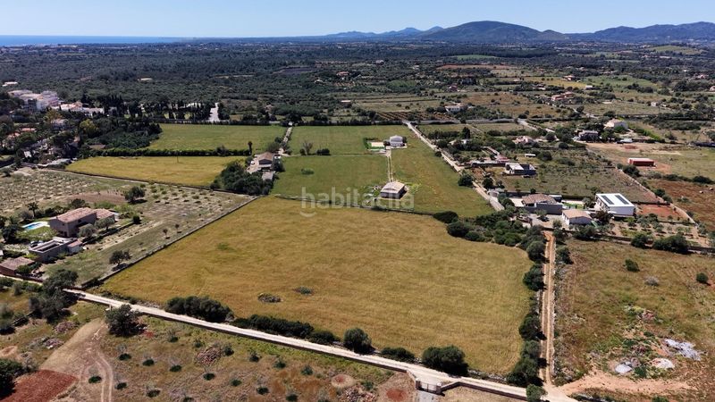 Foto 183a2a4a-f357-496e-af23-f0c1543e50de. Finca rústica a Manacor centre Manacor