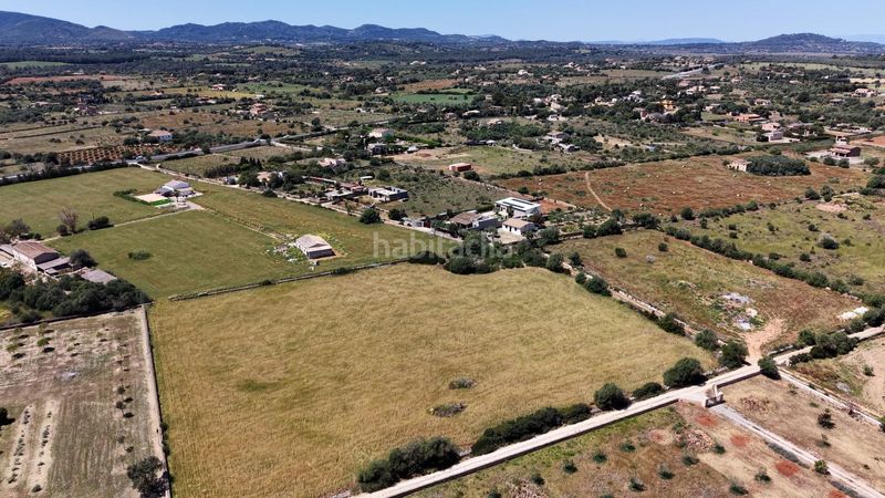 Foto 1a9c8b63-4115-4ed3-a24b-a733381e0410. Finca rústica a Manacor centre Manacor