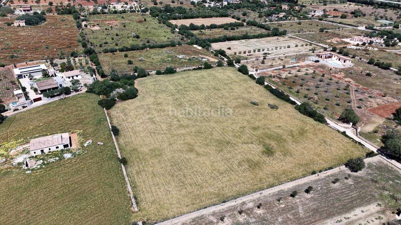 Foto 308d8a0e-0152-4a50-8681-58a84d919e7d. Finca rústica a Manacor centre Manacor