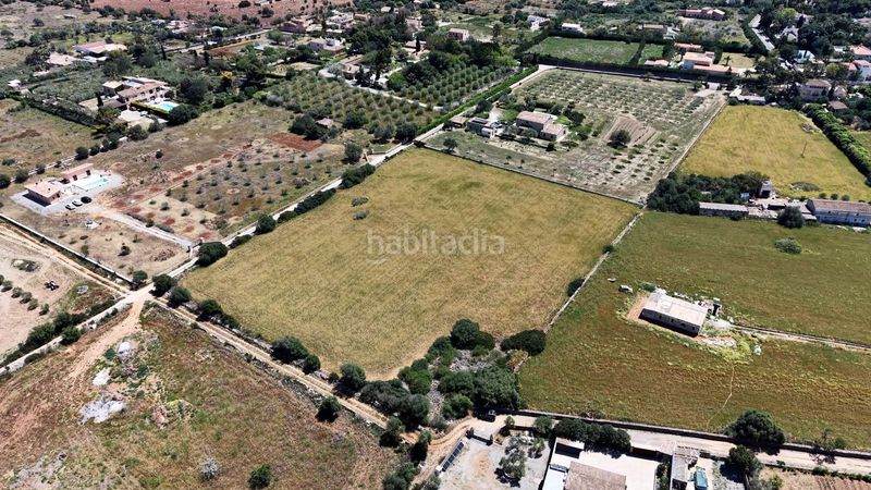 Foto 34973938-3fe0-4a16-97e3-3639f2580ed8. Finca rústica a Manacor centre Manacor