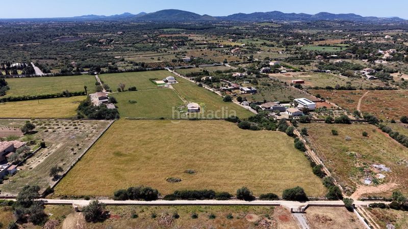 Foto 553e7f6c-68df-4bd0-8d39-4f46c83bc8a0. Finca rústica a Manacor centre Manacor