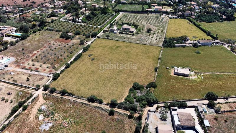 Foto 90888587-a1b3-431e-806d-388333a5b7ff. Finca rústica a Manacor centre Manacor