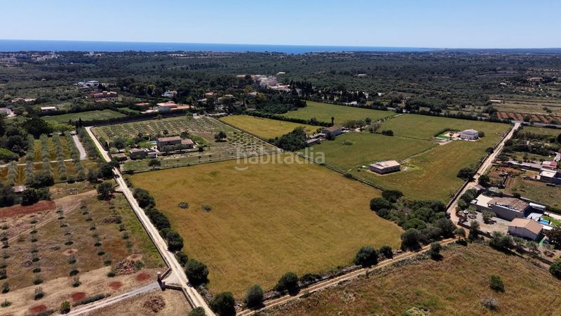 Foto ae324372-556e-4afd-a3ad-9a7205dfd600. Finca rústica a Manacor centre Manacor