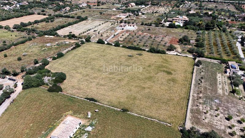 Foto b5a2c8b8-2e3c-4b6b-b189-da2cbe2358ed. Finca rústica a Manacor centre Manacor