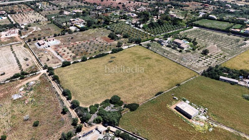 Foto bed33785-0a62-4981-b157-e6ba18887ee4. Finca rústica a Manacor centre Manacor