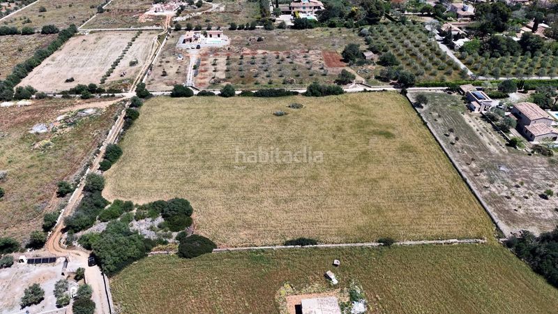 Foto c4ee253f-b0d0-4c92-a4e2-d3eda8692066. Finca rústica a Manacor centre Manacor
