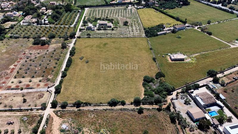 Foto e9477c50-048d-4025-9235-a788bc2815e1. Finca rústica a Manacor centre Manacor