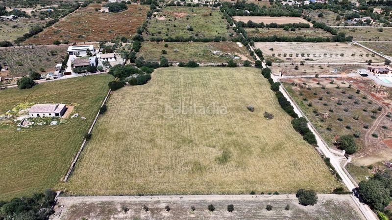 Foto ec786896-4e0a-40ef-938f-2d32e397d2bf. Finca rústica a Manacor centre Manacor
