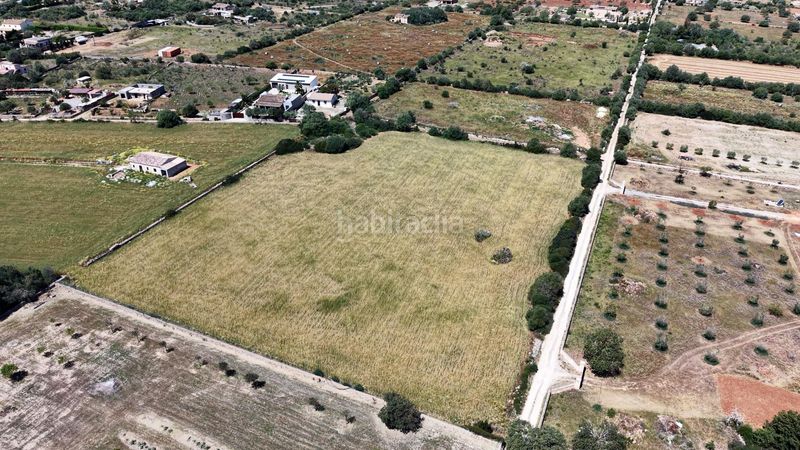 Foto fd3e1a27-41f9-43d3-9581-0690ad2ebe07. Finca rústica a Manacor centre Manacor