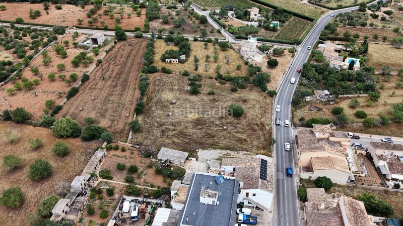 Foto dacb2ae3-5622-4dd3-a95e-59fa67cb5ece. Finca rústica a S´Alquería Blanca - Calonge Santanyí