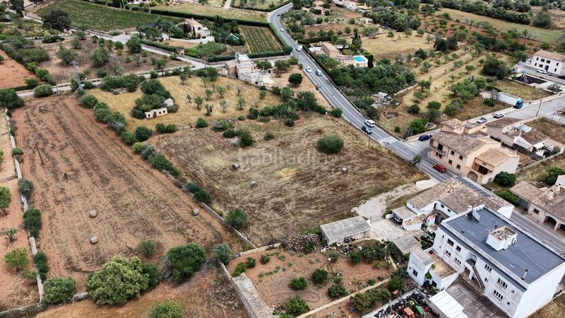 Foto e3f564ce-ef2d-4037-9336-8a802e77b81c. Finca rústica a S´Alquería Blanca - Calonge Santanyí