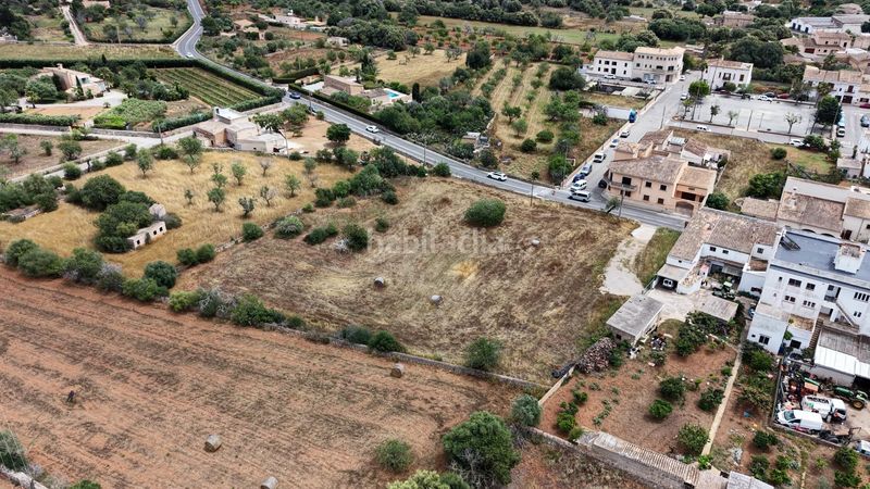 Foto f0dc18bd-2e8c-47df-949c-b41d833e48cc. Finca rústica a S´Alquería Blanca - Calonge Santanyí