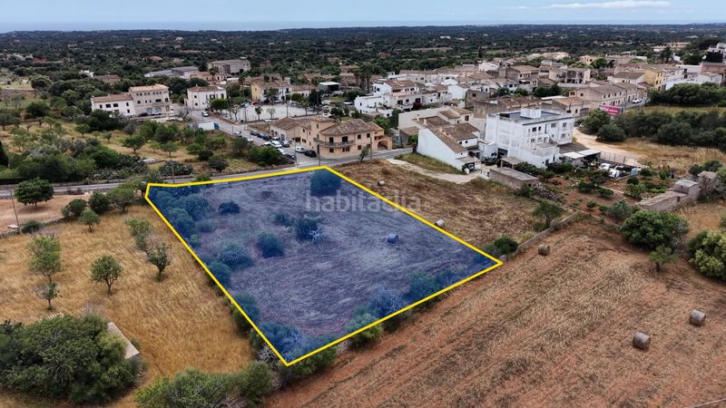 Foto f7c99b3b-010f-491d-9777-19a750e7a706. Finca rústica a S´Alquería Blanca - Calonge Santanyí
