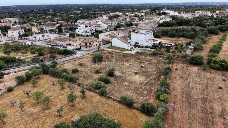 Foto fadd2208-475d-43f9-82b0-51b7ec1f7750. Finca rústica a S´Alquería Blanca - Calonge Santanyí