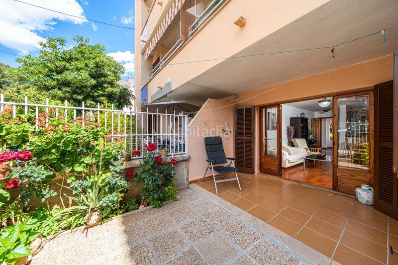 Foto 60e8c809-d7b5-42b9-b61b-e1098a81e951. Planta baixa a Cala Ratjada Capdepera