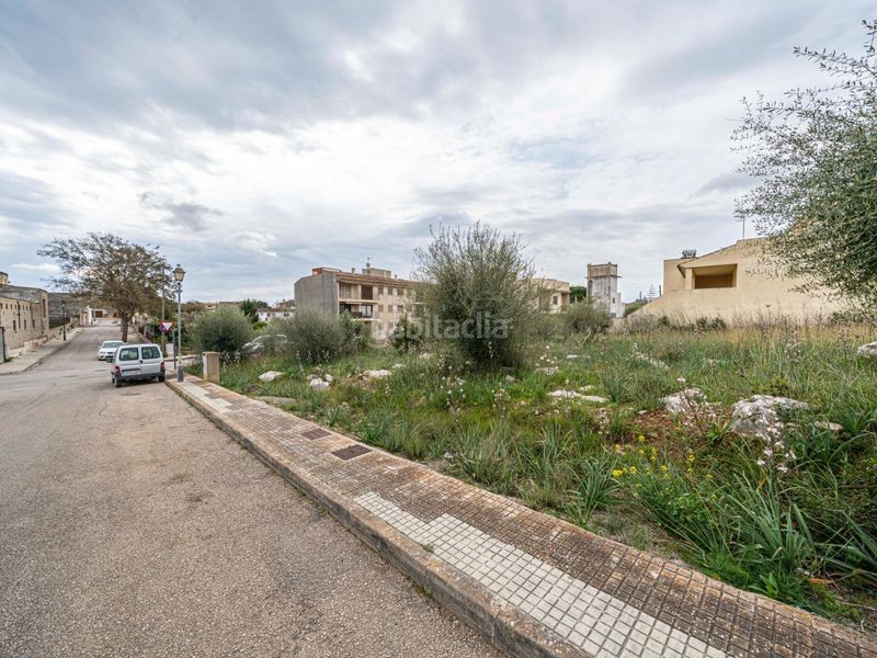 Foto e068c111-ca2e-4f53-b497-2dcedac24c19. Finca rústica a Sant Llorenç des Cardassar