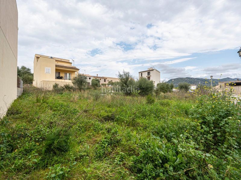 Foto 85a444a1-a6d3-4428-8a8b-845e70250031. Finca rústica a Sant Llorenç des Cardassar