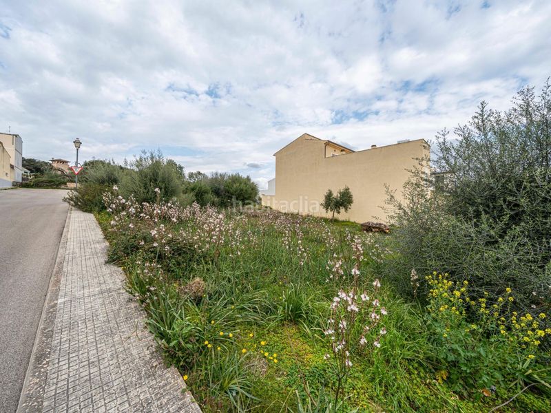 Foto c07f1773-d0b3-4e3f-8c34-83fa970f8f75. Finca rústica a Sant Llorenç des Cardassar