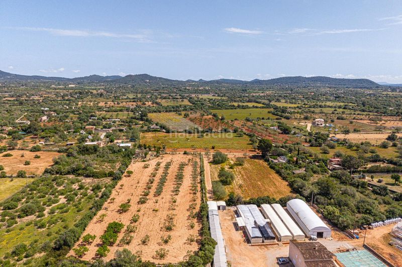 Foto caac659f-f728-4596-8536-bca0f3fdb21d. Finca rústica a Llucmajor interior Llucmajor