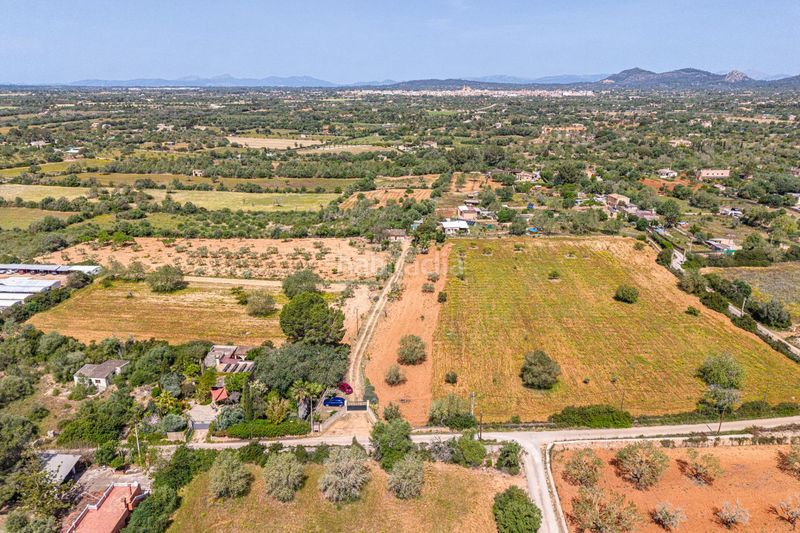 Foto d7797372-02de-4054-b2e0-45f3b989f369. Finca rústica a Llucmajor interior Llucmajor