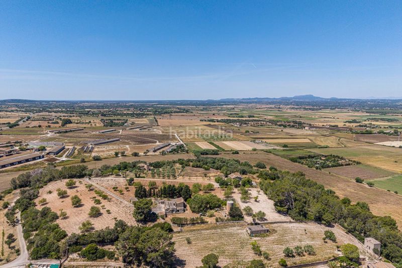 Foto 2143f2bd-6cfb-4eca-9c6d-57dd38e97ffe. Casa a Manacor centre Manacor