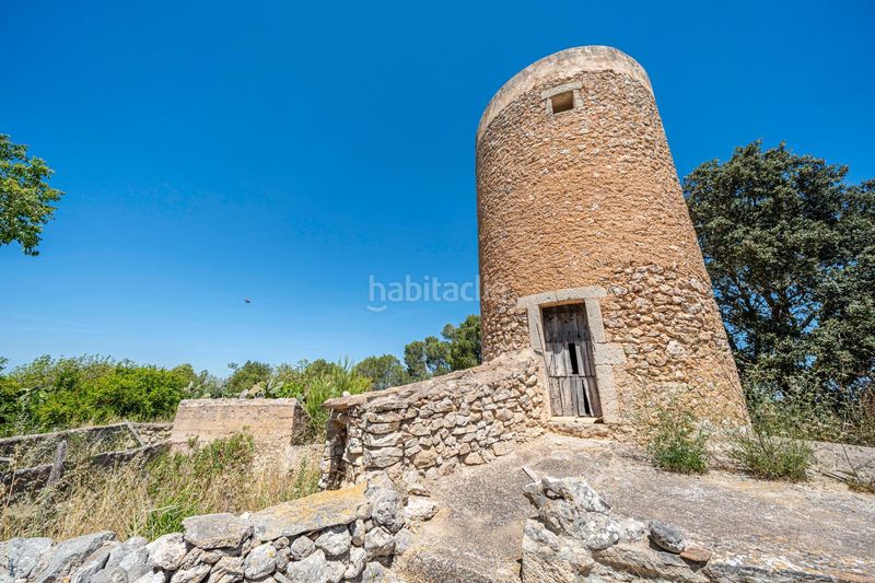 Foto fe56a249-6057-4713-be2d-1f6c9e732ef4. Casa a Manacor centre Manacor