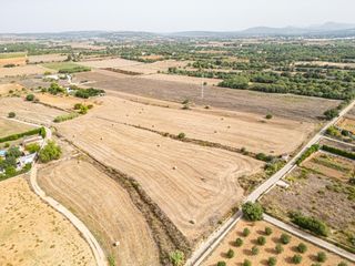 Rural plot in Manacor Centre. Terreno rústico en manacor con amplia superficie, entorno natura