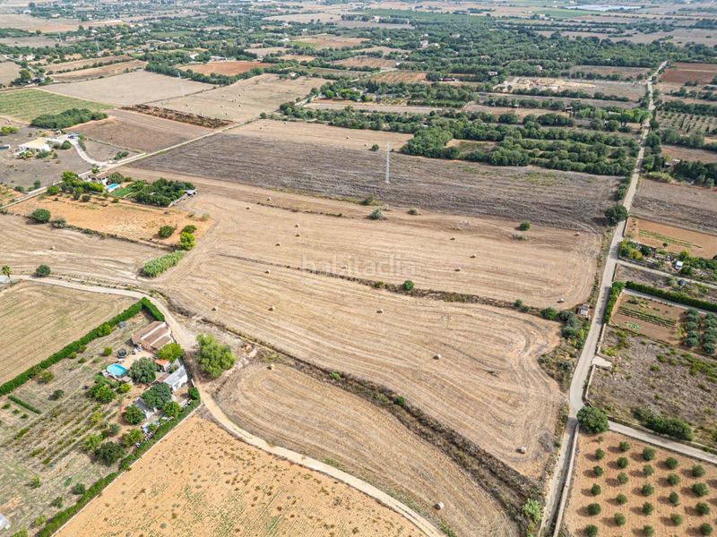 Foto 0a96e1d2-a047-40a1-97de-5af4dcae071f. Finca rústica a Manacor centre Manacor