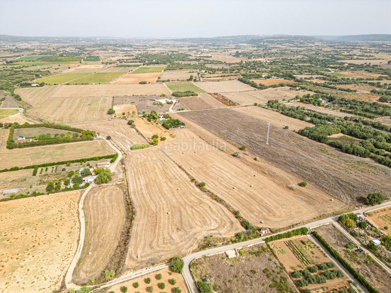 Foto 4652638a-a159-4b93-b1d0-b4557369cdf0. Finca rústica a Manacor centre Manacor
