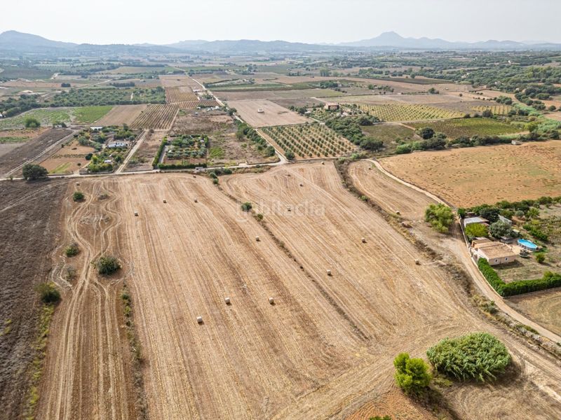 Foto 49bb4d90-9ea7-4b33-a2af-c84f73326e76. Finca rústica a Manacor centre Manacor