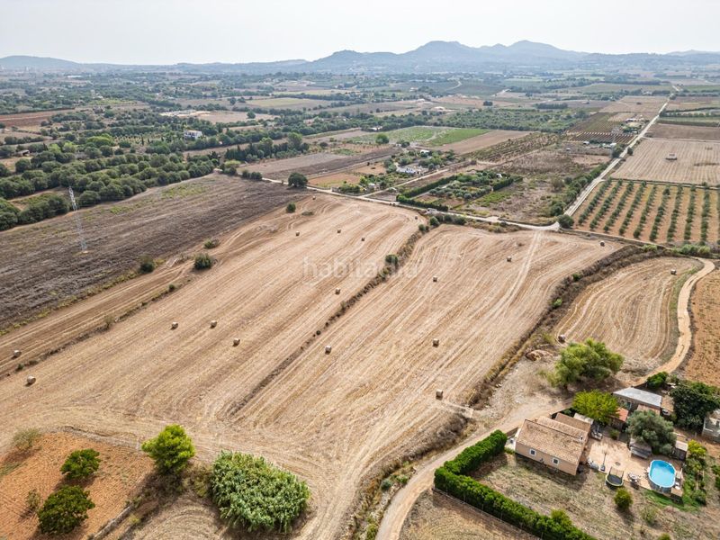 Foto a72e7547-8e75-4442-b622-4676b901c7e3. Finca rústica a Manacor centre Manacor