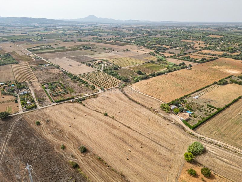 Foto c0e5e86c-c3b3-4735-82e6-f179b27caf1f. Finca rústica a Manacor centre Manacor